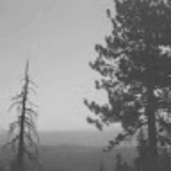 Meet your Posher, Julia - Picture 1 of 1